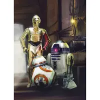 Komar Fototapete "STAR WARS Three Droids - Größe 184 x 254 cm", bunt, B:184m L:254m, Papier, Tapeten, Fototapete, Kinderzimmer