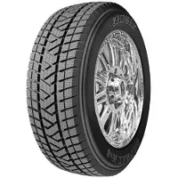 Gripmax Stature M/S 255/65 R17 110H Winterreifen