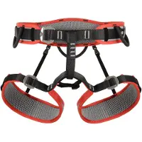 Dmm - Renegade - Klettergurt Gr S bunt