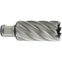 Metabo HSS-Kernbohrer 55 mm Weldonschaft 19 mm - 3/4" - 626537000