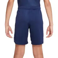 Nike Shorts DM2226-410 für Jungen