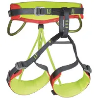 Camp Energy Kinder Klettergurt grau