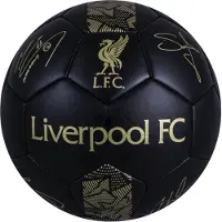 Team Merchandise Liverpool Phantom Signature Fußball