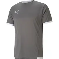 Puma Unisex Kinder Teamliga Jersey Jr Shirt, Smoked Pearl-White, 116 EU