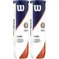 Wilson Roland Garros Clay Bipack Tennisbälle