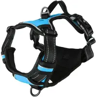 Flamingo Hundegeschirr Balou Blau M - 32–56cm Brust 50–65cm