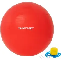 Tunturi Gym Ball Fitball