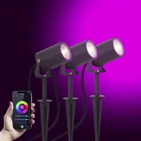 Ks Verlichting 3x Stark Gartenspot Anthrazit mit Smart Color LED