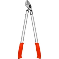 Lowe Amboss-Astschere Nr. 22