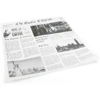 Sier Sandwich-Beutel News Paper 30 cm x 30 cm