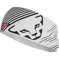 Dynafit Graphic Performance Stirnband nimbus