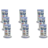 Intex 29000 Filterpatrone Typ A 9 Stück für Schwimmbad 244/305/366 Cm