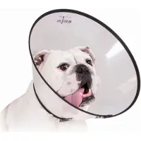 Kvp Saf-t-clear Hundehalskrause