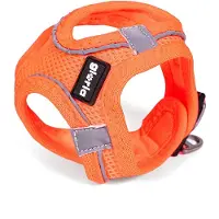 Gloria Hundegeschirr Air Mesh Trek Star Einstellbar Orange (18-20 cm)