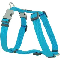 Red Dingo Hundegeschirr weich 30-48 cm türkis