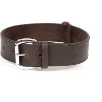 Gloria Dog Hundehalsband