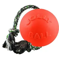 Jolly Pets toben und herum Rollen Spielzeug.