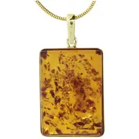 Ostsee-Schmuck Kette mit Anhänger - Classic 27x19 - Gold 333/000 - Bernstein Gold