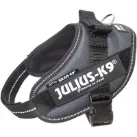 JULIUS K-9 Idc Power Mini Hundegeschirr