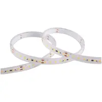 EVN Sauna LED-Strip 5-Meter-Rolle 24V IP68, 4.000K