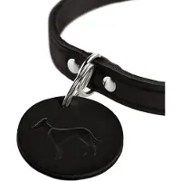 Hunter Pet Aalborg Hundehalsband