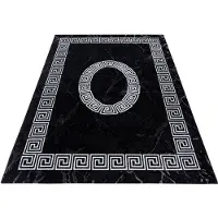 Ayyildiz Teppiche Teppich TEPPICHE "Plus 8009 , auch als Läufer erhältlich", schwarz, B:200cm H:6mm L:290cm, Polypropylen (PP), Teppiche, Teppich, Läufer, gemusterter Flachflor, robust, Webteppich, alle Räume
