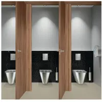 Delabie WC-Bürstengarn. W.-Mont. m. Abd. Edst. hgl.pol.