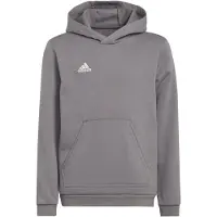 Adidas Entrada 22 Kapuzenpullover