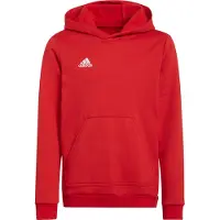Adidas Kinder Kapuzensweat Entrada 22 Sweat