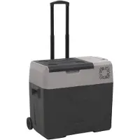 vidaXL Kühlbox mit Rollen und Griff Schwarz & Grau 30 L Polypropylen