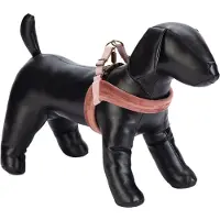Designed By Lotte Velura Hundegeschirr