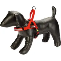 Beeztees Parinca Premium Comfort - Hundegeschirr - Nylon - rot - 52-62