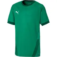 Puma teamGOAL 23 Jersey Jr. , Größe:176, Farben :Pepper Green-Power Green