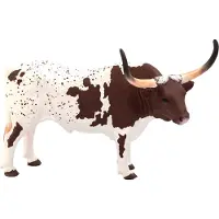 MOJO Texas Longhorn Rind