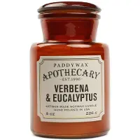 PADDYWAX Apothecary Verbena & Eucalyptus Duftkerze 226 g