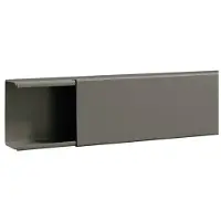 Hager B6010007030O V-Kanal o Bod/Seitenstanz BA6 60x100 sg - 2 Meter