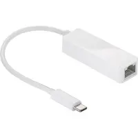 Wentronic USB-C-Ethernet-Adapter, weiß, zum Anschluss eines PCs oder Apple MacBook an ein Ethernet-Netzwerk (RJ45) über den USB-C-Anschluss