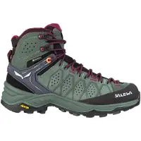 Salewa Schuhe WS Alp Trainer 2 Mid Gtx, 613835085