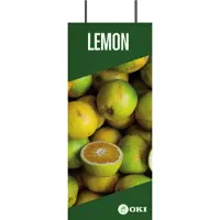 OKI FASTDISPLAY, Metall, 400 mm, 160 mm, 1250 mm