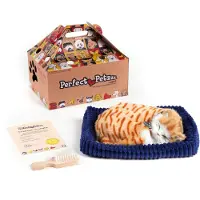 Merkloos Soft Orange Katze Plüschkatze mit Geräusch und Bewegung
