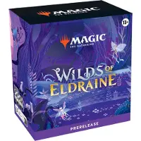 Wizards of the Coast D24760000, 13 Jahr(e)