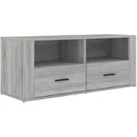 vidaXL TV-Schrank Grau Sonoma 100x35x40 cm Holzwerkstoff