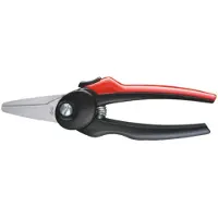 Bessey D48-2 Schere