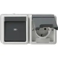 Gira 417730 Horizontale Schaltersteckdose Kombination IP44 Grau - 417730
