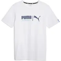 Puma Handball Tee WHITE-SILVER SKY XXL