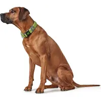 Hunter Pet Hilo Vario Basic L-xl Hundehalsband