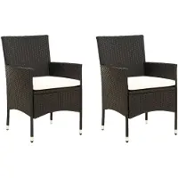 vidaXL Gartenstühle mit Kissen 2 Stk. Poly Rattan Schwarz