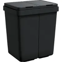 vidaXL Duo Mülleimer Anthrazit 2x25 L