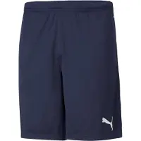 Puma Teamrise Training Kurze Hose