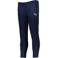Puma Teamrise Poly Trainingshose